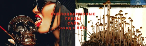 хмурый Алзамай