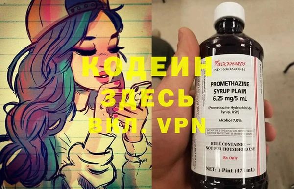 хмурый Алзамай