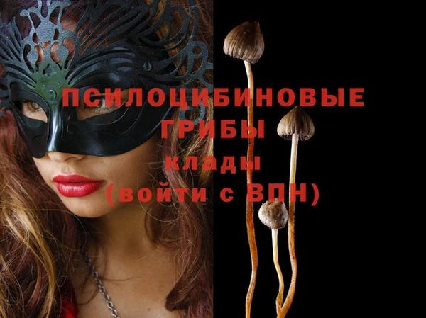 хмурый Алзамай