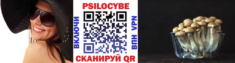 Псилоцибиновые грибы мицелий  Южно-Сахалинск 